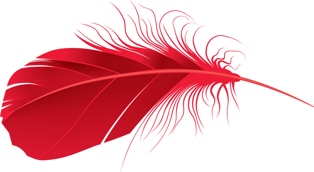 Feather Png, Download Png Image With Transparent Background, Clipart (800x440), Png Download