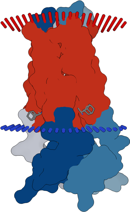 Transmembrane Flat Surface Display Opm Clipart (1000x1000), Png Download