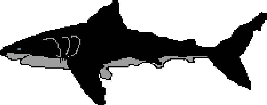 Great White Shark Clipart (1024x576), Png Download