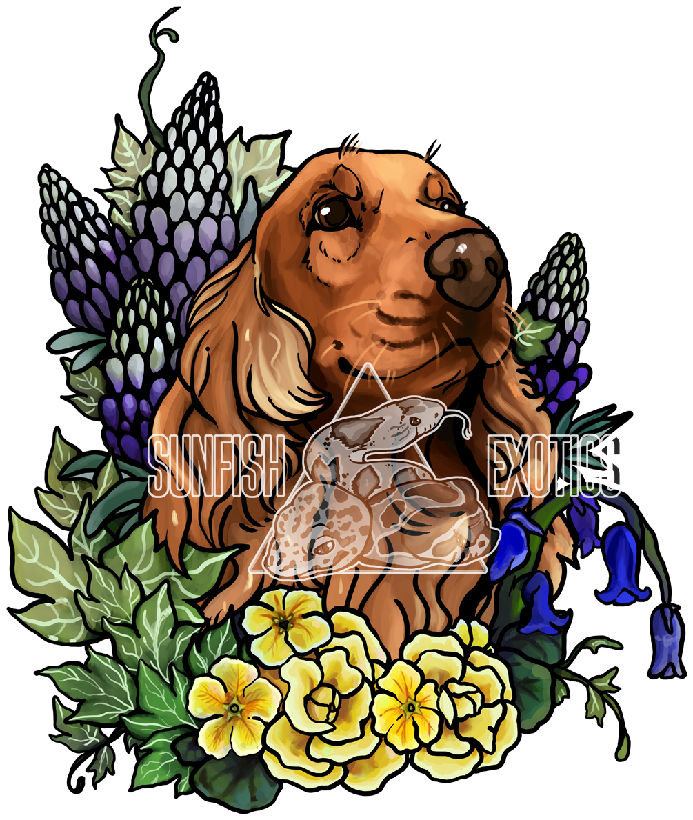A Commission For A Client Of Their English Cocker Spaniel Clipart (1125x1242), Png Download