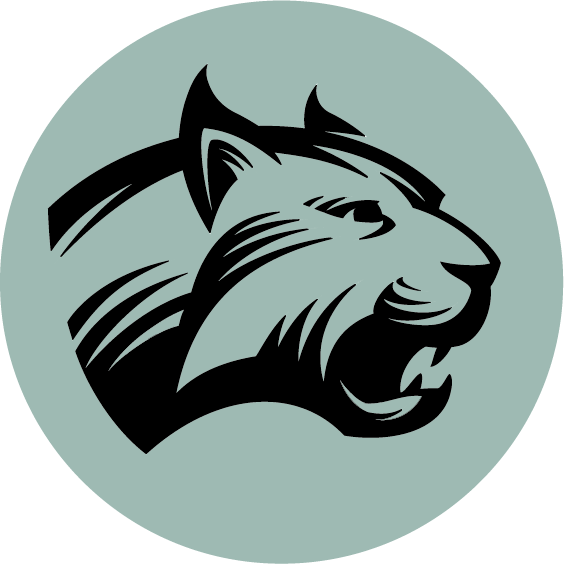 Lynx Urban Outdoor Clipart (564x564), Png Download