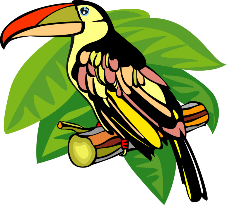 Vector Illustration Of Toucan Bird With Large Beak Clipart (775x700), Png Download