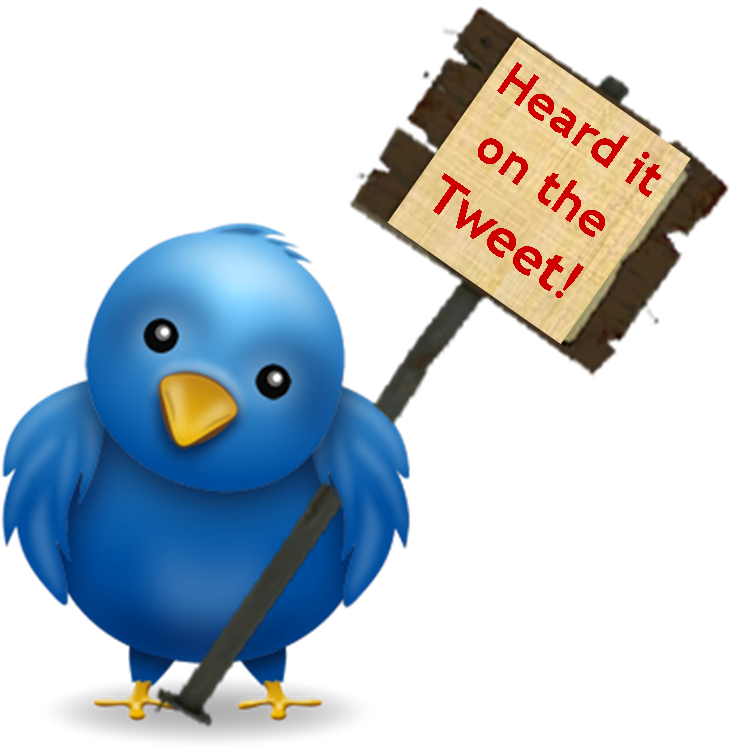 Albert Einstein - Clipart (772x772), Png Download