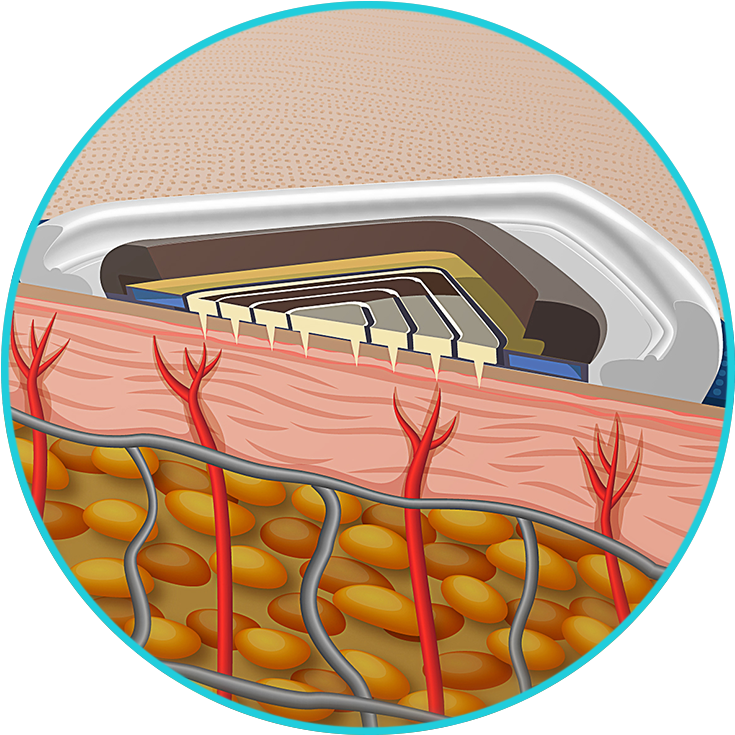 Intelligent Clipart (750x750), Png Download