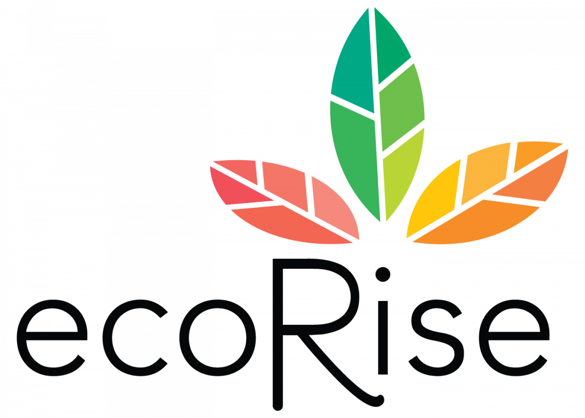 The Mission Of Ecorise Youth Innovations Is To Inspire Clipart (1200x857), Png Download