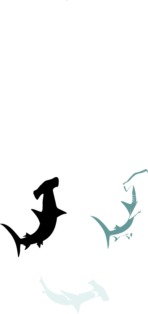 Nature, Personal Use, Hammerhead, Clipart (500x1059), Png Download