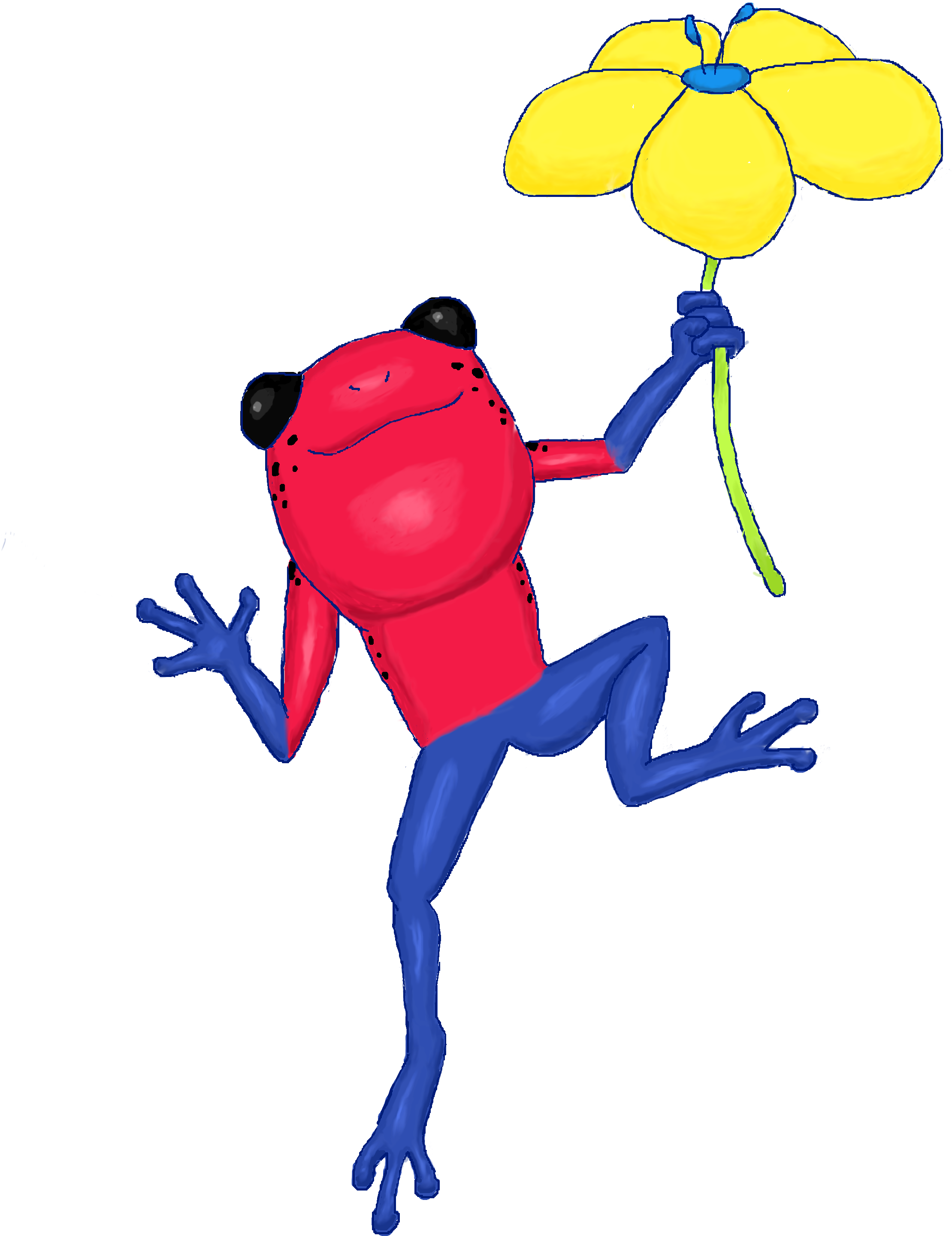 Strawberry Poison Dart Frog And Flower Clipart (2400x3548), Png Download