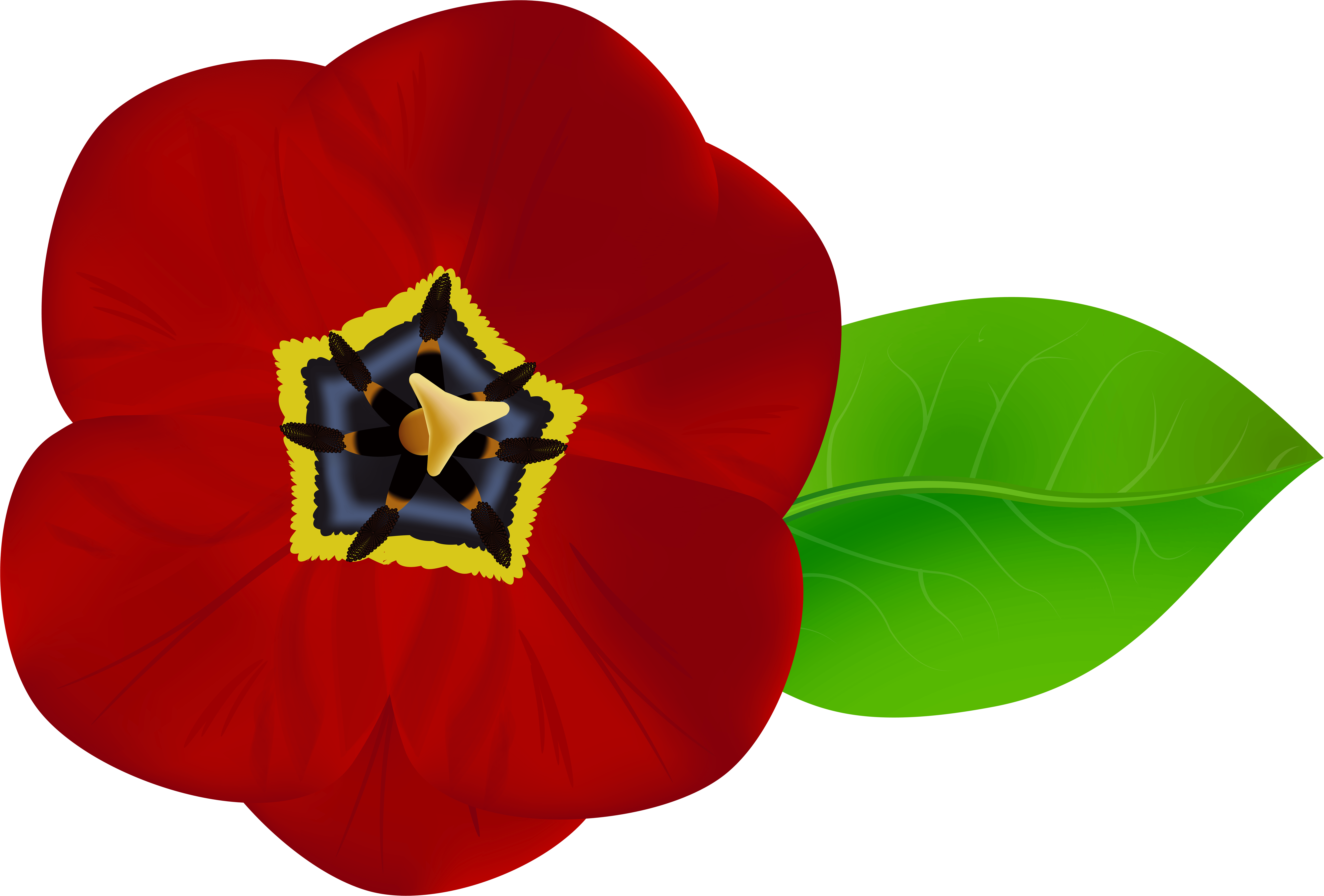Red Flower Png Image Gallery Yopriceville High Quality Clipart (8000x5415), Png Download
