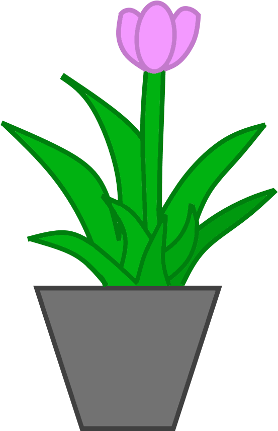 Potted Plant Png Clipart (700x1000), Png Download