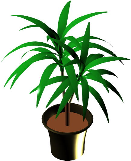Potted Plant - Close Clipart (710x628), Png Download