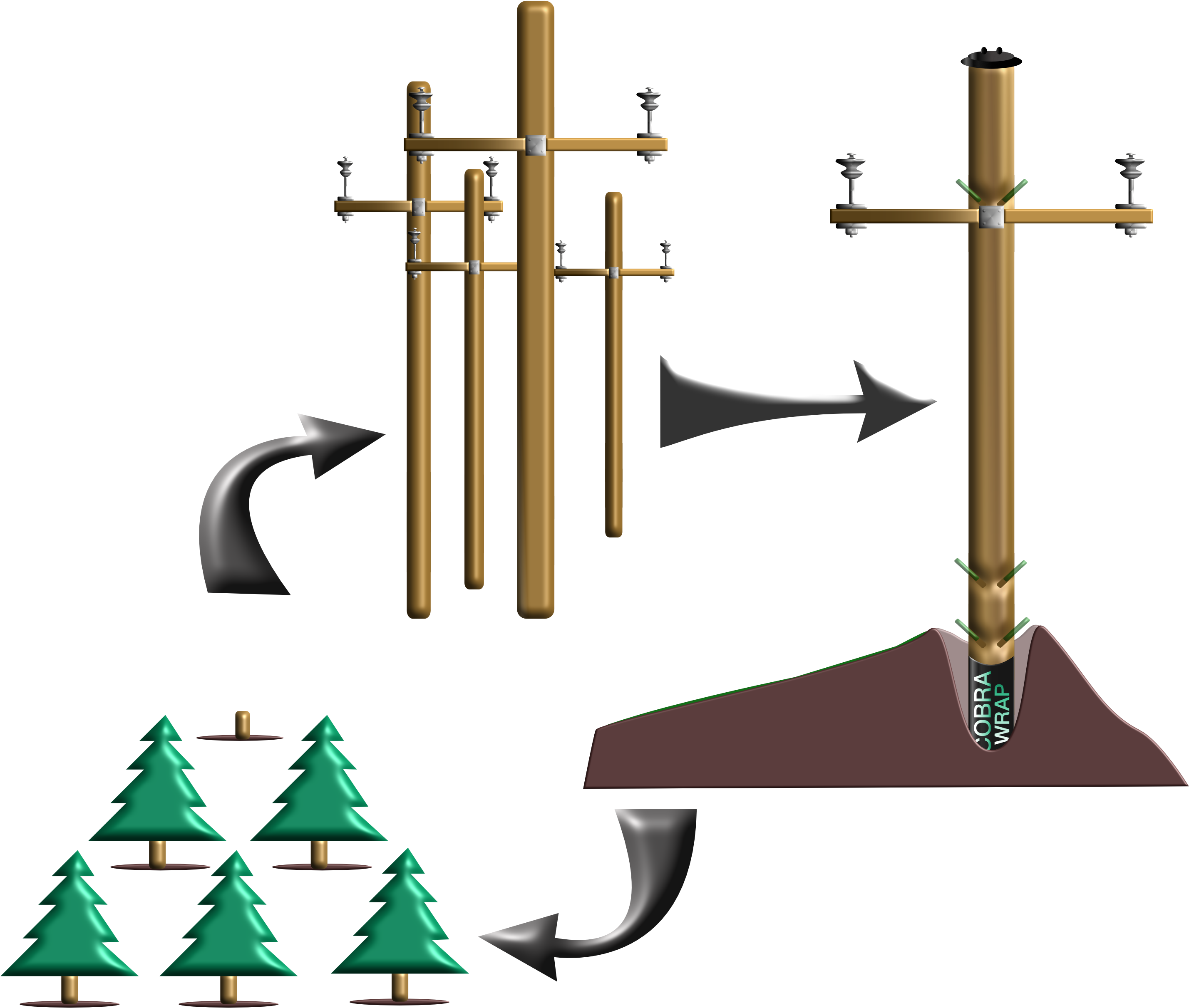 Throughout Our History, We Have Proven That Preserving Clipart (4200x2550), Png Download