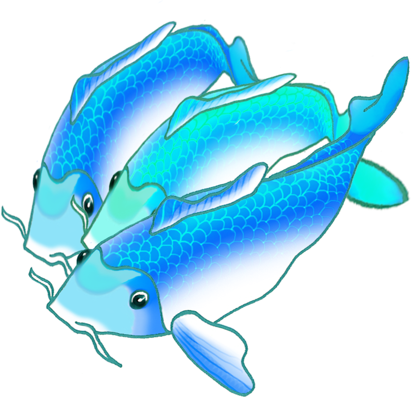 Colorful Koi Fish Draw Clipart (812x782), Png Download