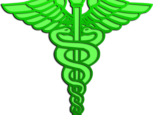 Doctor Symbol Clipart Vet - Png Download (640x480), Png Download