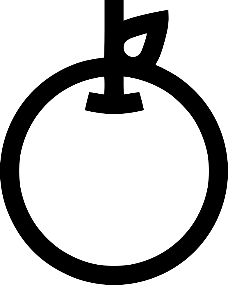 Fruit Apple Training Teacher Diet Nutrition Comments Clipart (784x980), Png Download