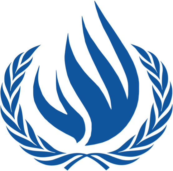 On March 11, 2015, The United Nations Special Rapporteur Clipart (585x585), Png Download