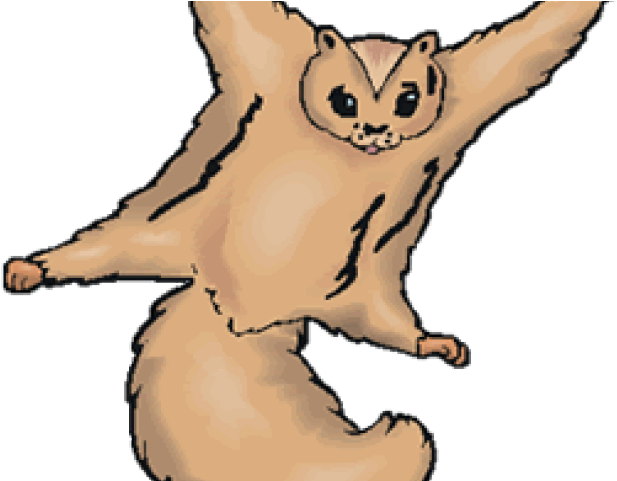 Flying Squirrel Clipart Wing - Png Download (640x480), Png Download
