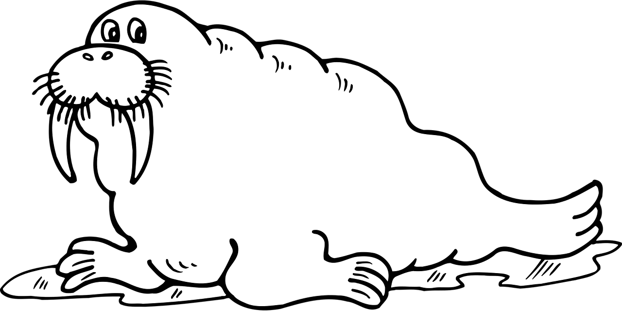 Walrus,odobenus Vector Graphics Clipart (1280x640), Png Download