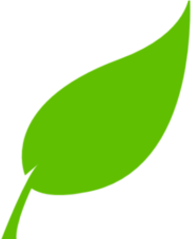 Free Clipart Leaf - Png Download (640x480), Png Download