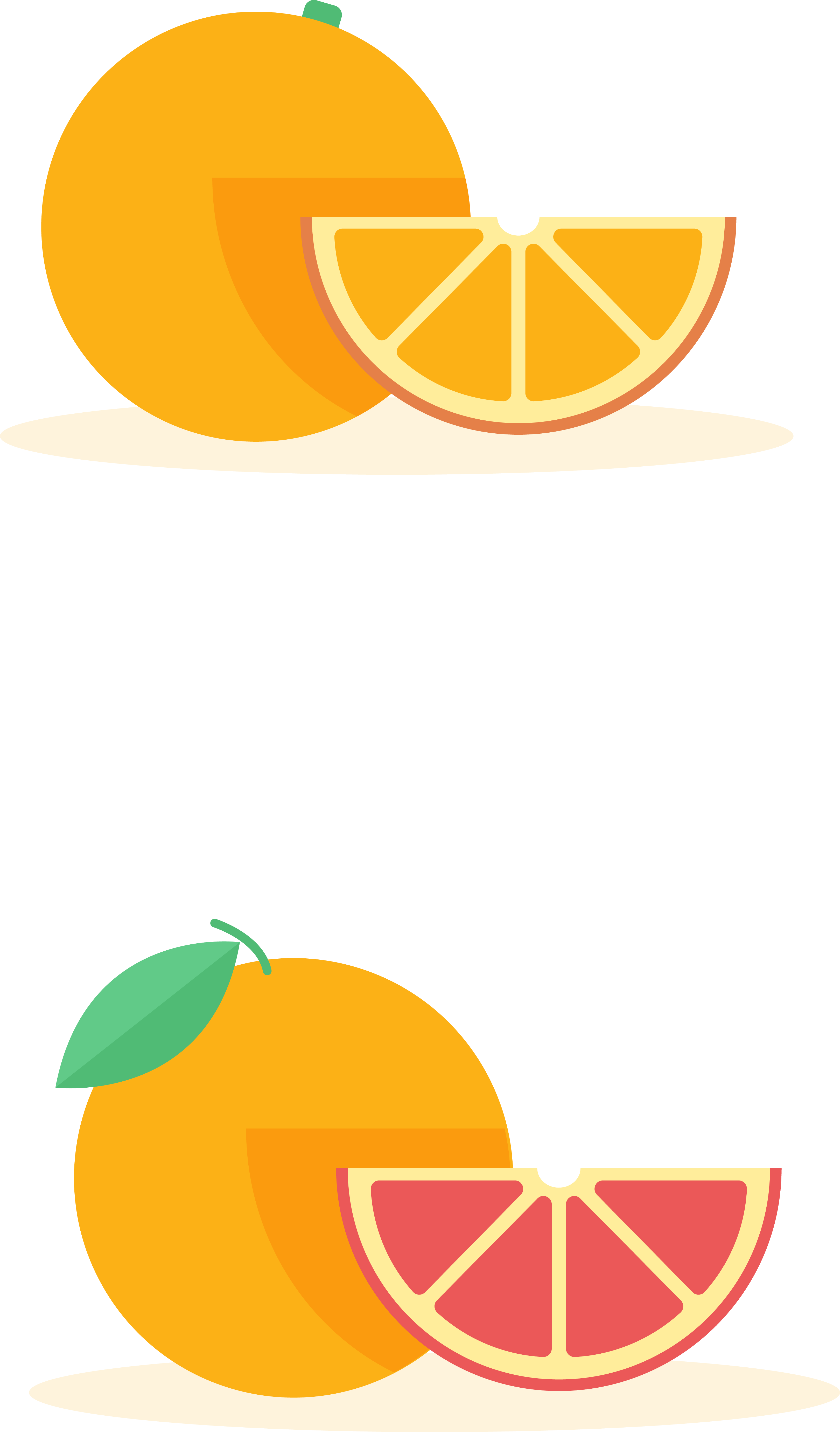 Orange Grapefruit Cartoon Pomelo Clip Art - Png Download (3240x5518), Png Download