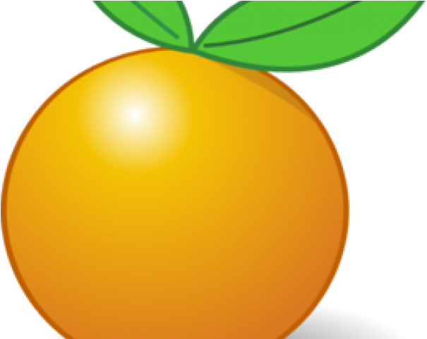 Citrus Clipart Orange Slice - Png Download (640x480), Png Download