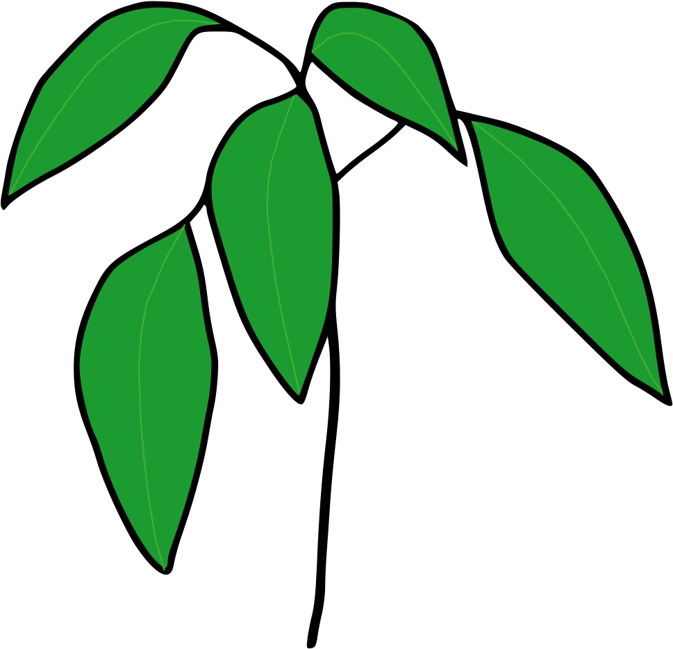 Seedling Clipart - Png Download (1000x1000), Png Download