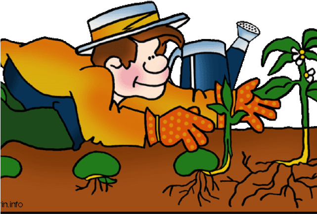 Seeds Clipart Plant Life Cycle - Png Download (640x480), Png Download