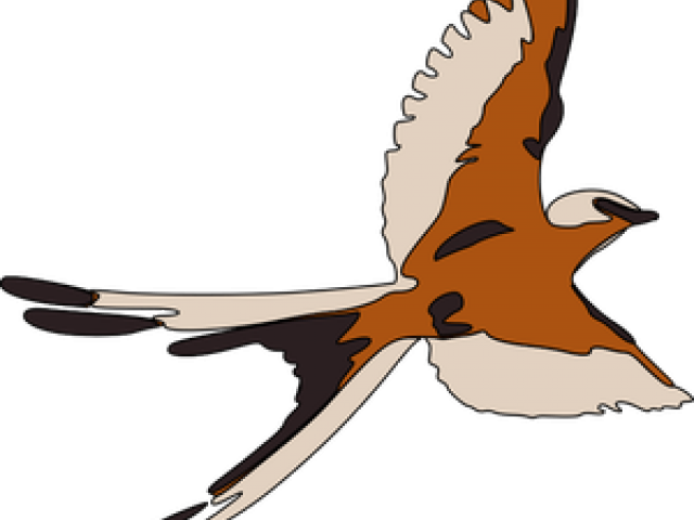 Seagull Clipart 3 Bird - Png Download (640x480), Png Download