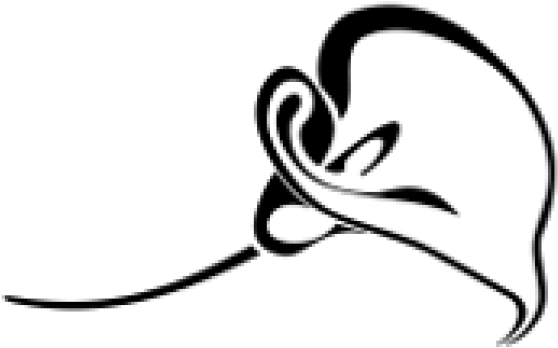 Calla Lily Clipart Memorial Flower - Png Download (640x480), Png Download