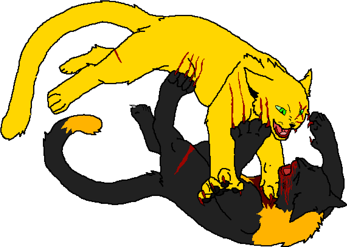 Cat Fight Clipart (1200x852), Png Download