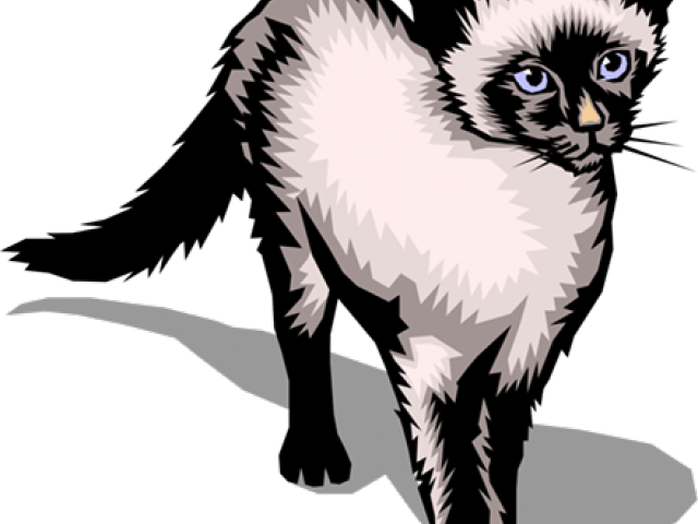 Tuxedo Cat Clipart Siamese - Png Download (640x480), Png Download