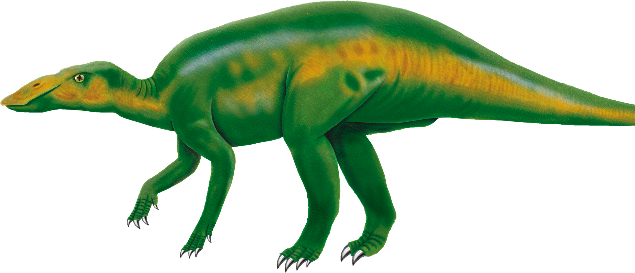 Back > Gallery For Gross Motor Skills Clip Art Clipart - Png Download (2204x1017), Png Download