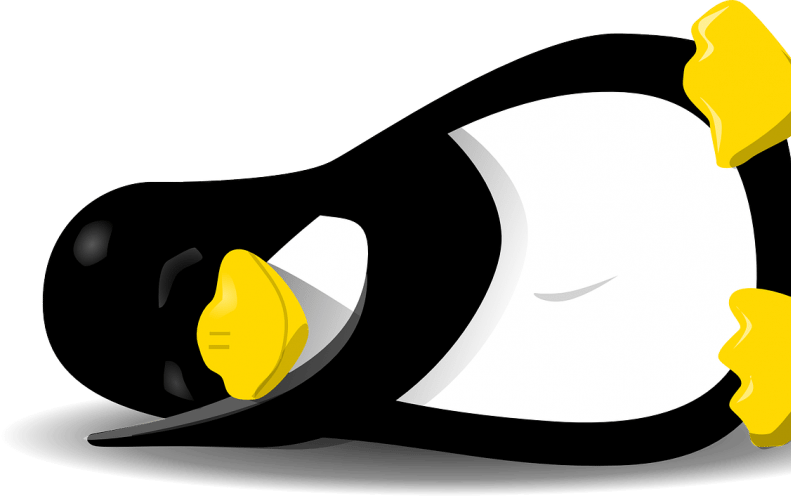 Elegant 0-day Unicorn Underscores “serious Concerns” Clipart (791x496), Png Download