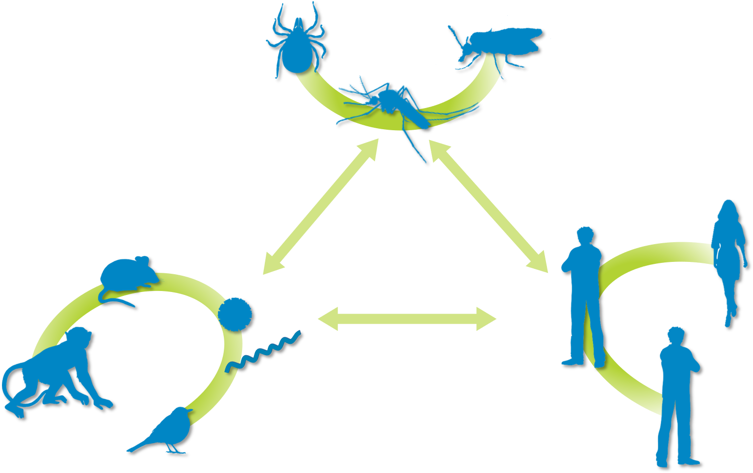 Our Vision - " Clipart (1533x981), Png Download