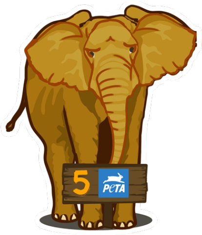 Philipines Clipart Elephant - Png Download (640x480), Png Download