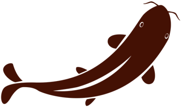 Koi Clipart Transparent - Png Download (640x480), Png Download