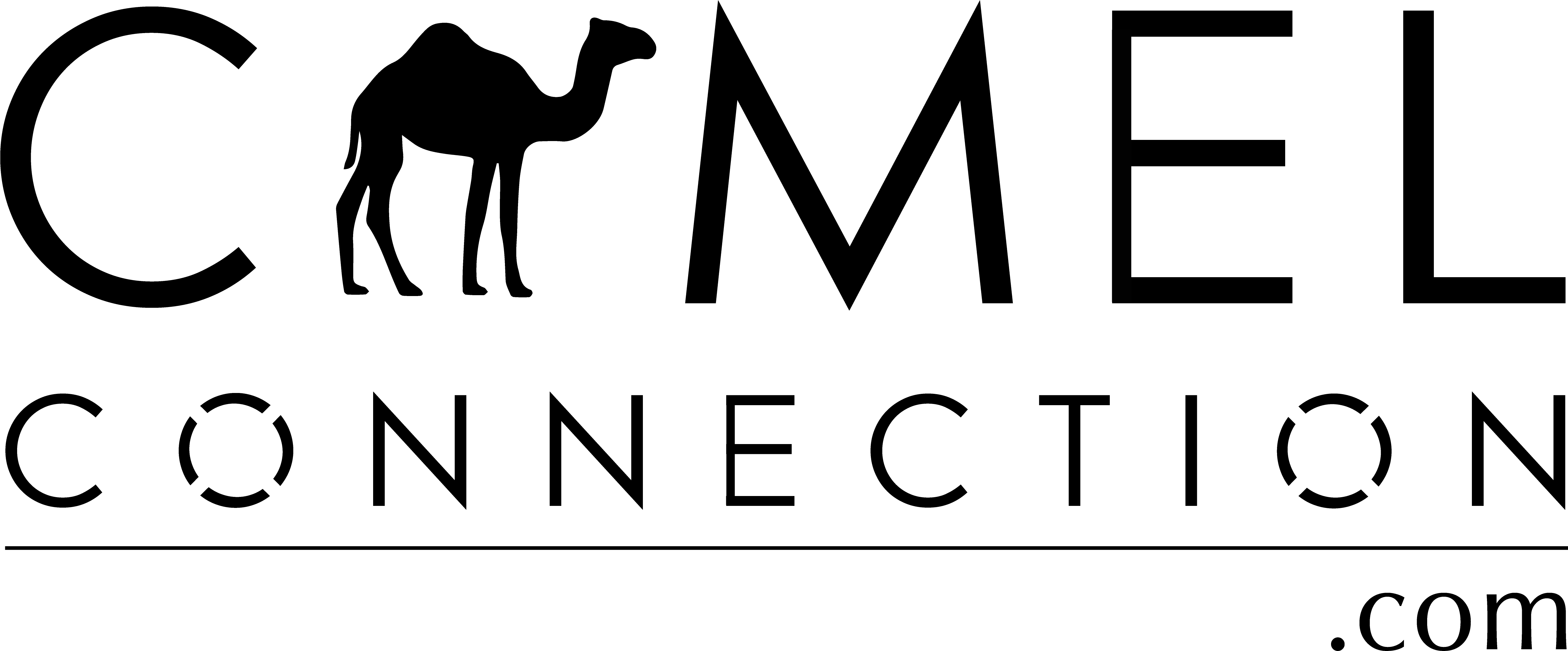 Australian Camels Australian Camels Clipart (5423x2338), Png Download