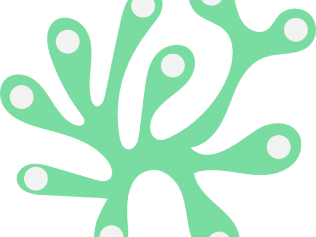 Seaweed Clipart Seeweed - Png Download (640x480), Png Download