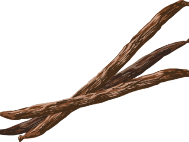 Coffee Beans Clipart Vanilla Bean - Png Download (640x480), Png Download
