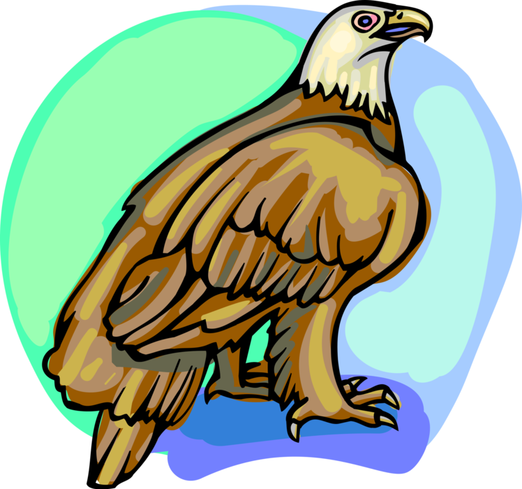Vector Illustration Of American Bald Eagle National Clipart (748x700), Png Download