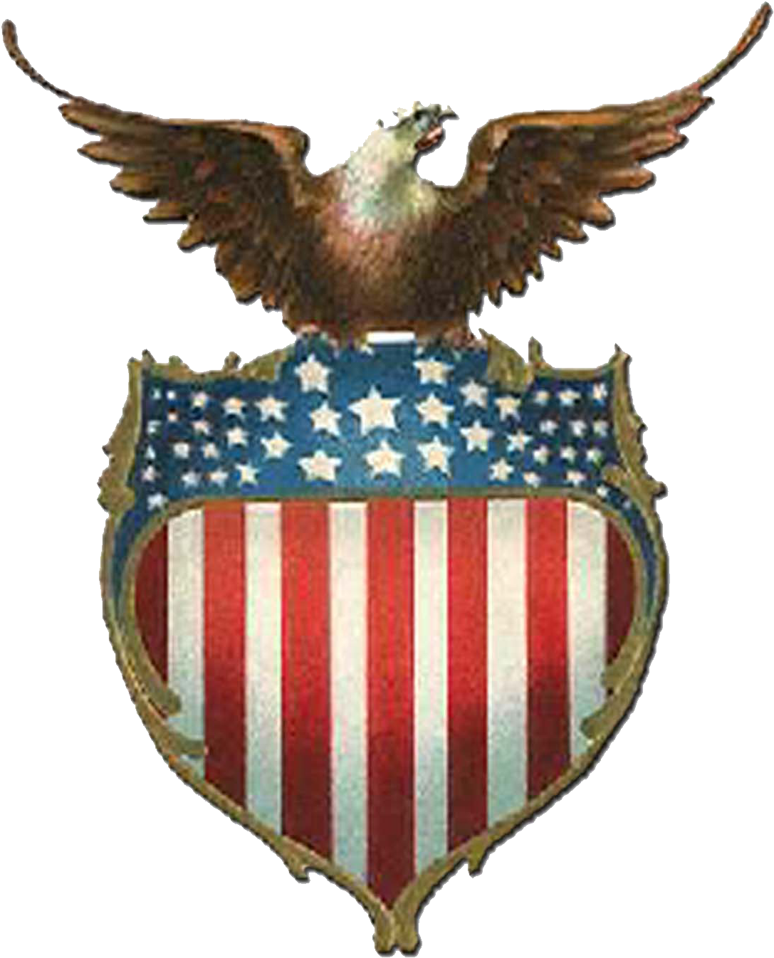 Usa Eagle Png Clipart (1087x1346), Png Download