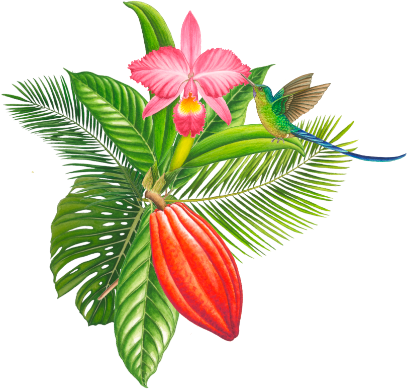 We Can Develop It Chocolate Industrial Clipart (850x781), Png Download