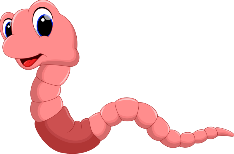 Earthworm Worm Png, Download Png Image With Transparent Clipart (800x527), Png Download