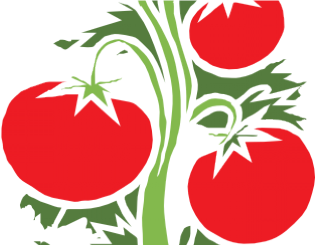 Vines Clipart Animated - Png Download (640x480), Png Download