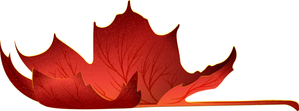 Red Maple Leaf Transparent Clipart (1024x382), Png Download