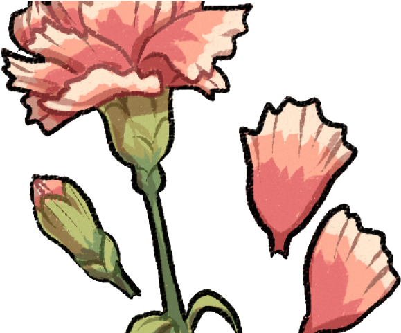 Drawn Carnation Pixie Clipart (640x480), Png Download