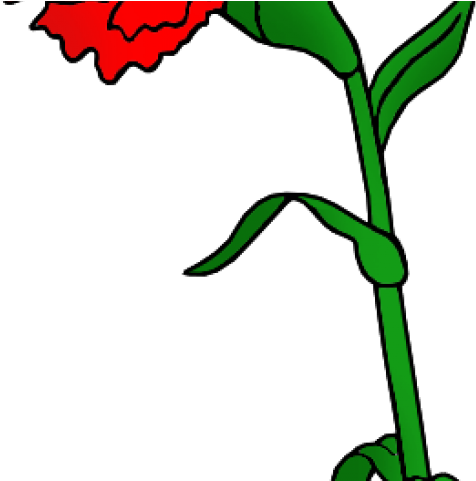 Red Flower Clipart Red Carnation - Png Download (640x480), Png Download