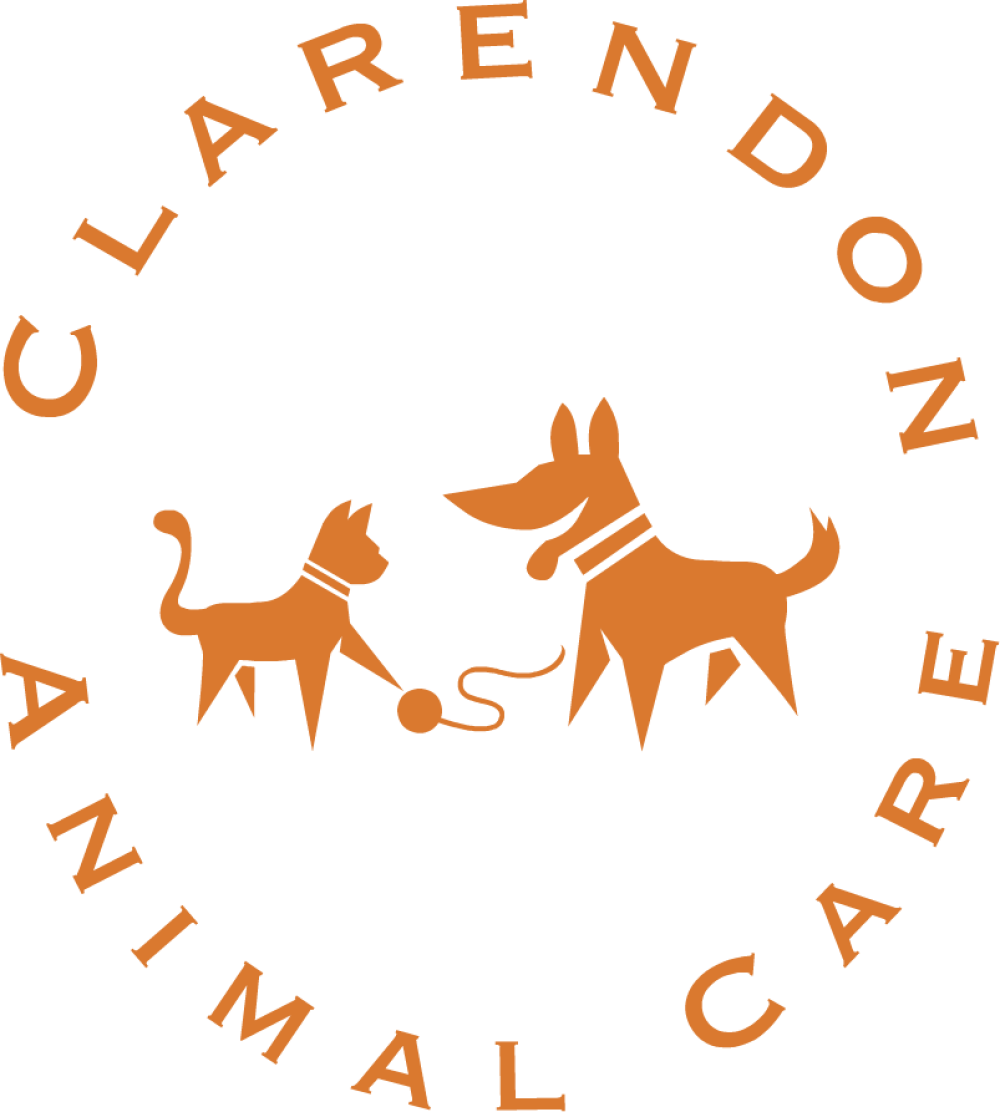 Arlington Dog Nanny Logo Burke Logo Clarendon Animal Clipart (1000x1112), Png Download