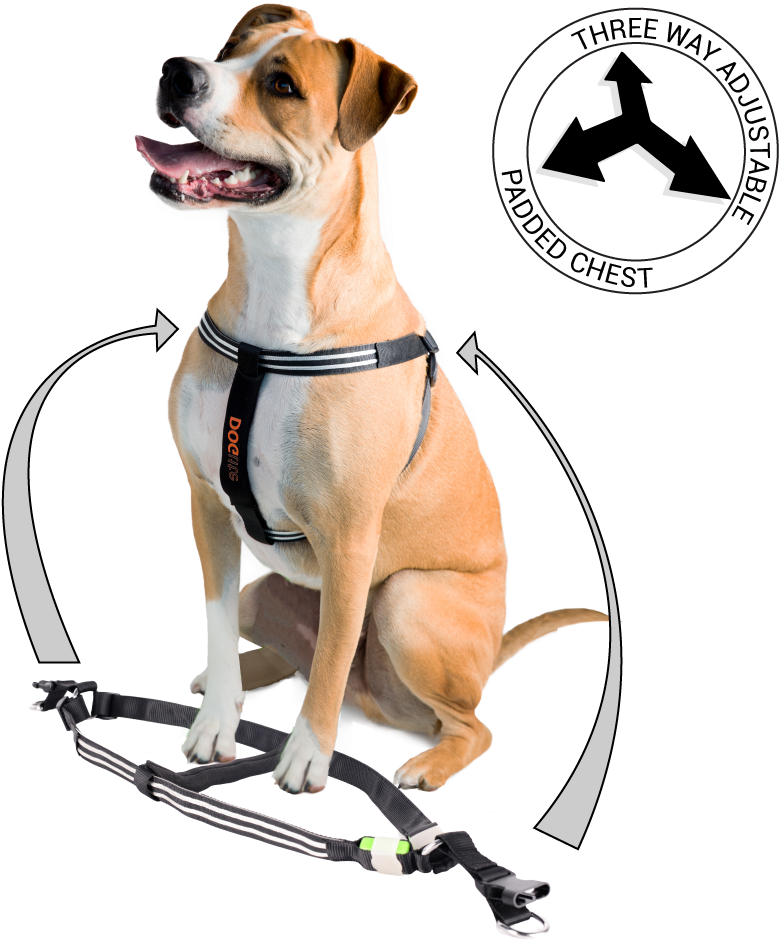 Vector Black And White Download Doglite Double Trouble Clipart (1000x1000), Png Download