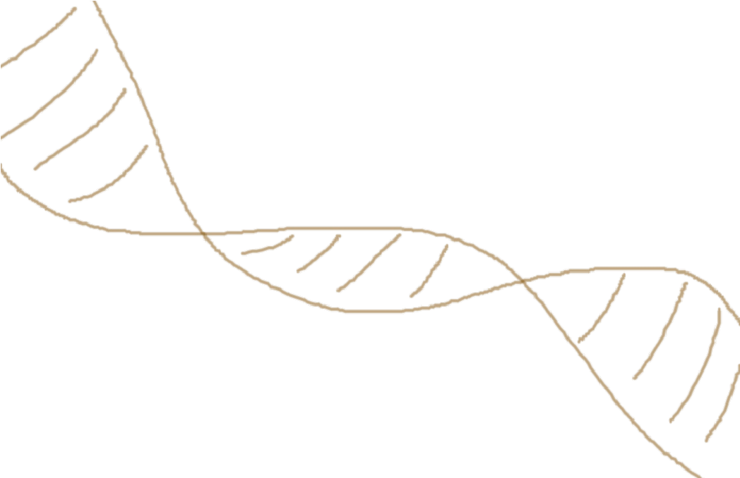 Helix Wallet Clipart (1050x750), Png Download