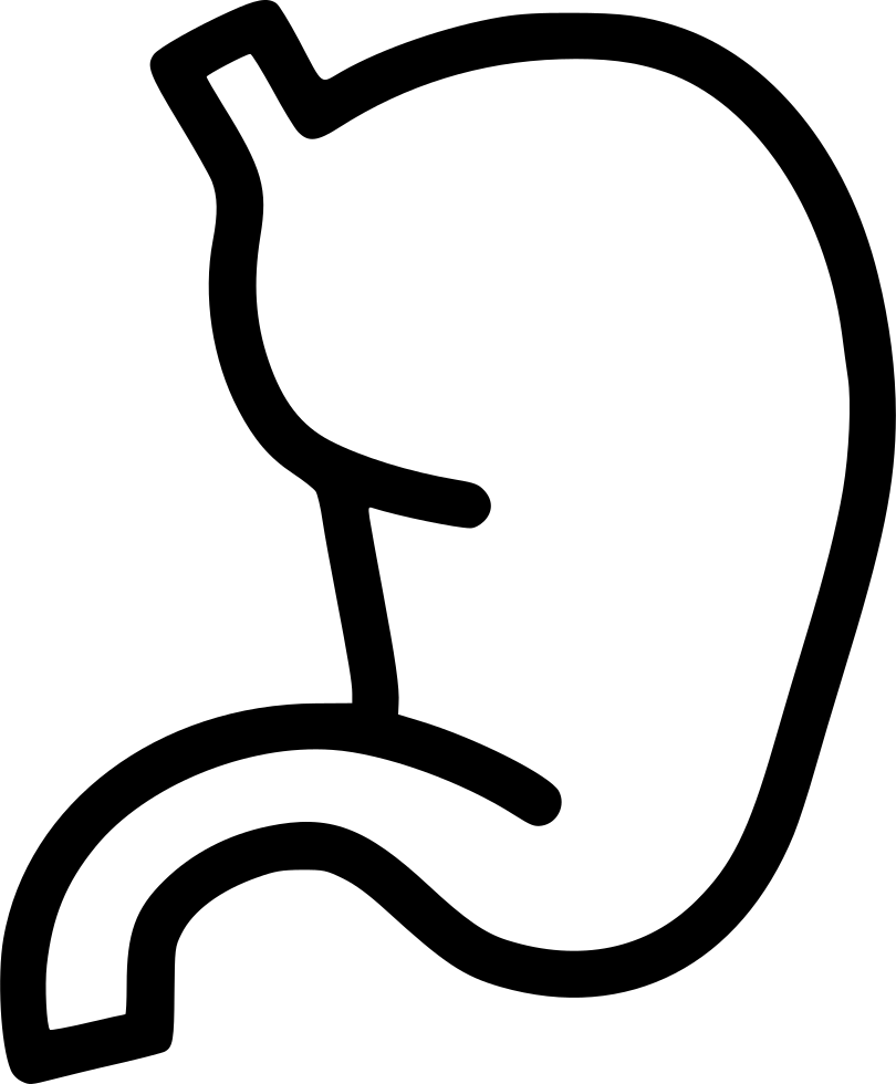 Stomach Comments Clipart (810x980), Png Download